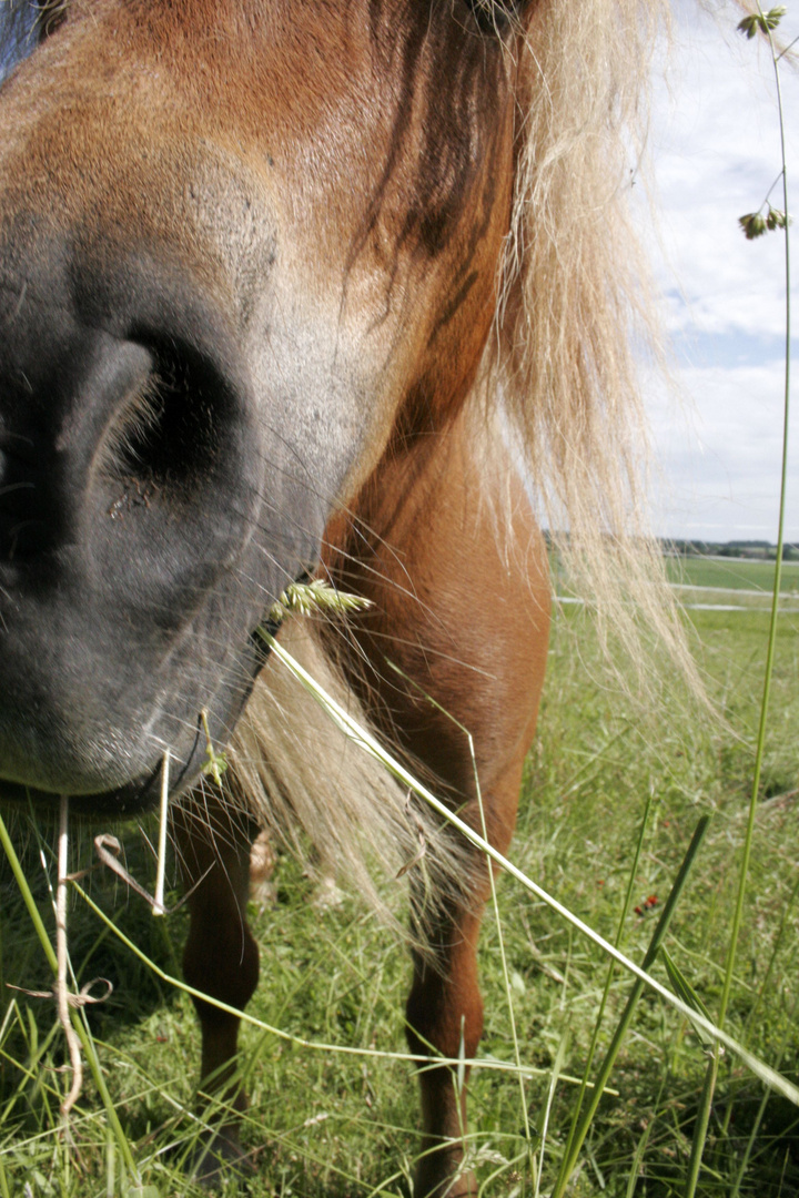 Shetty ganz groß ;-)