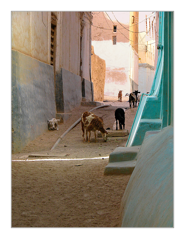 Shibam 5