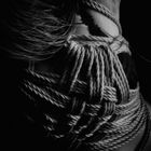 shibari 1