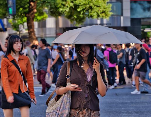 Shibuya Crossing