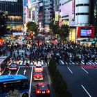 Shibuya Crossing