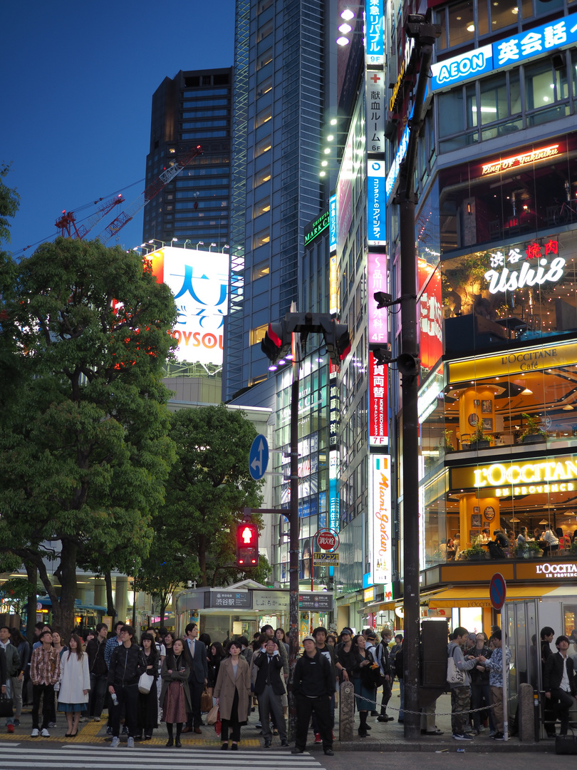 Shibuya Crossing