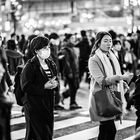 Shibuya crossing 3