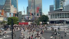 Shibuya Crossing