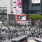 Shibuya Crossing