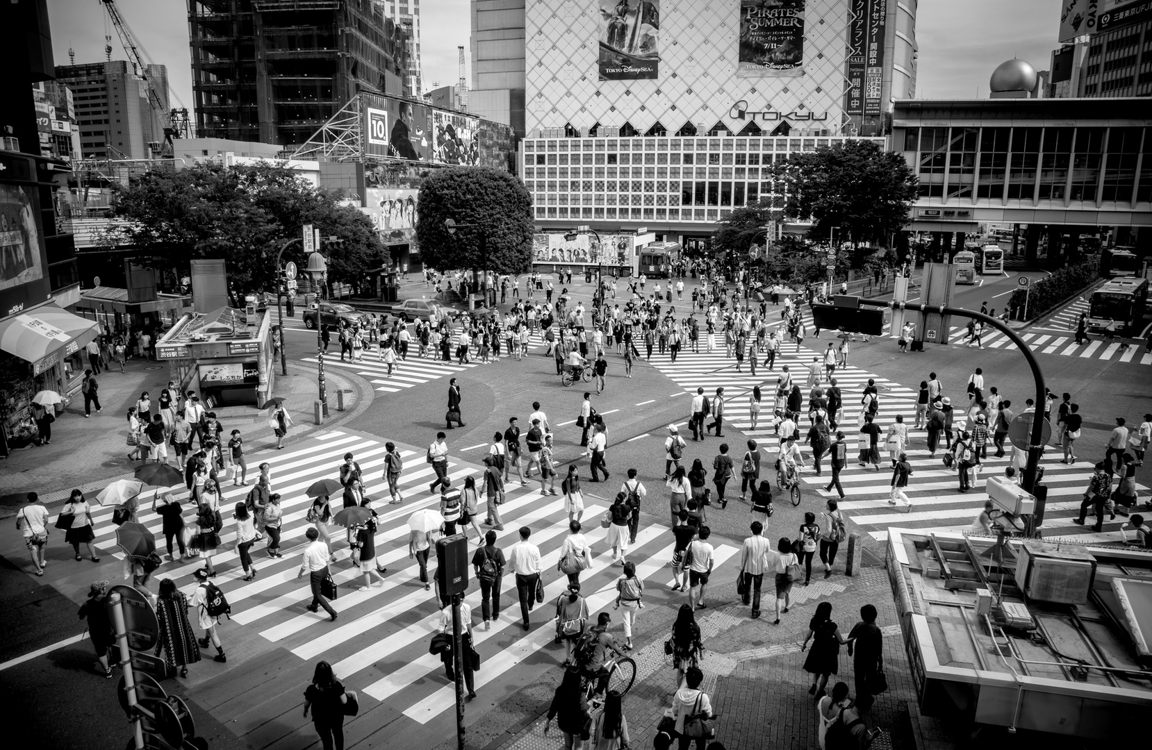 Shibuya Crossing