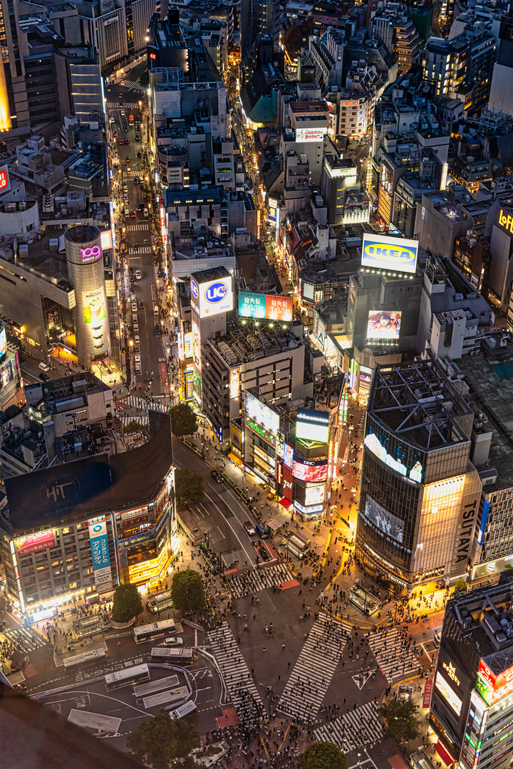 Shibuya Crossing Abends III