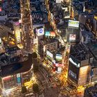 Shibuya Crossing Abends III