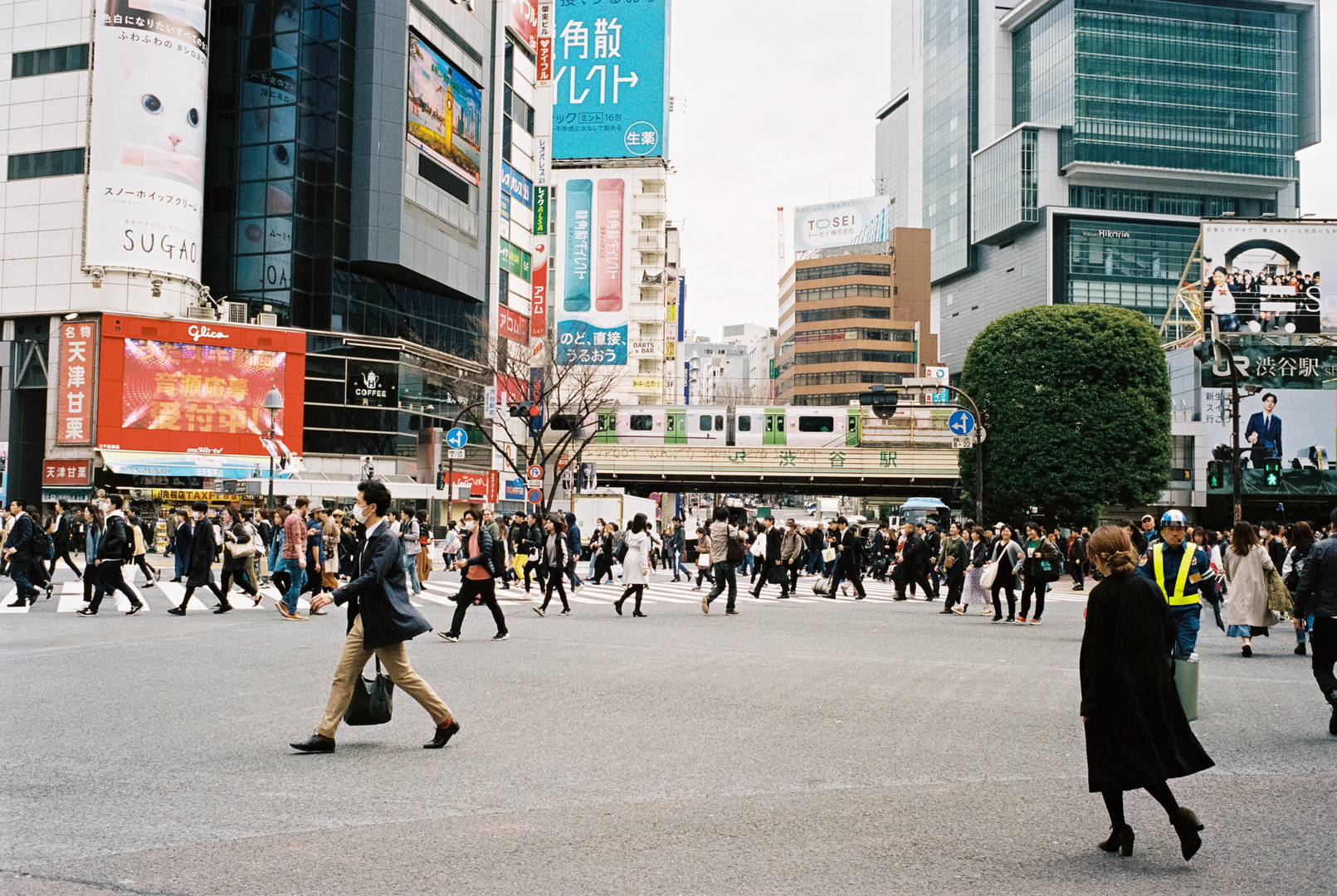 Shibuya Crossing