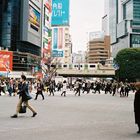 Shibuya Crossing