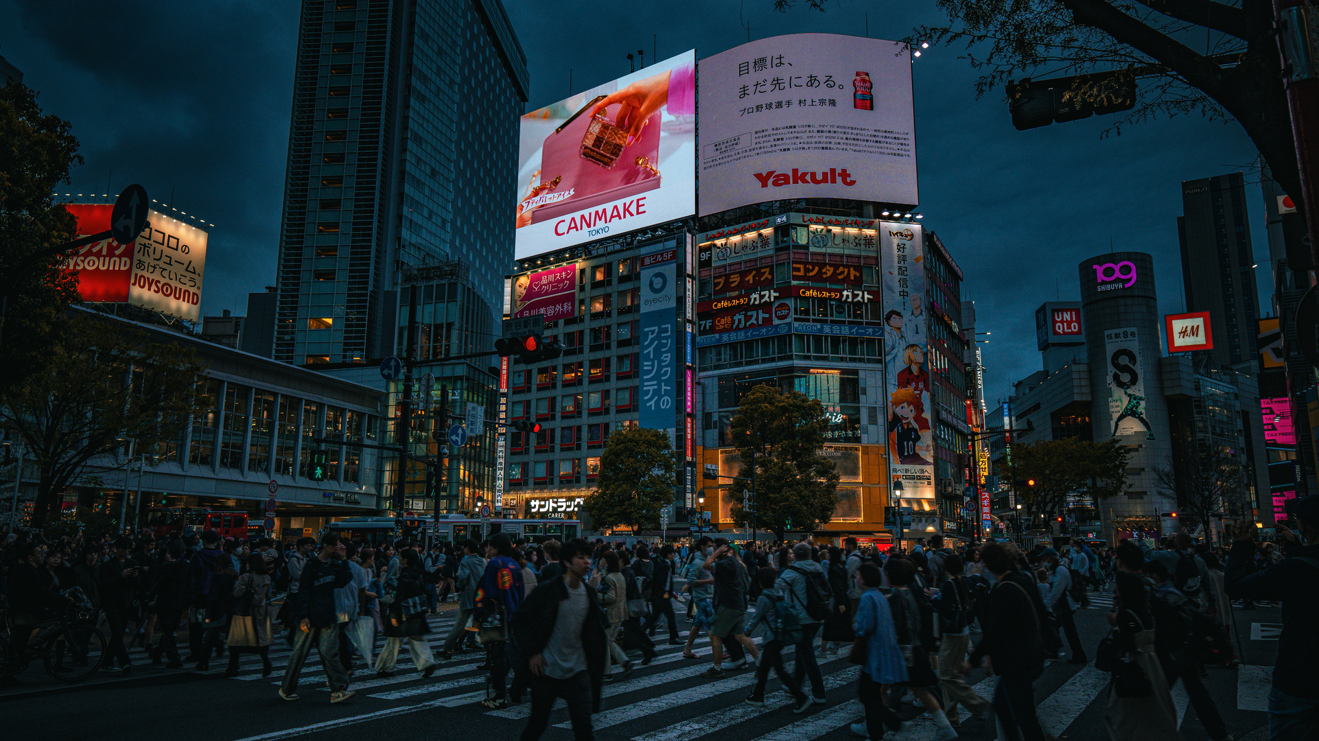 Shibuya Crossing, Tokyo, Japan