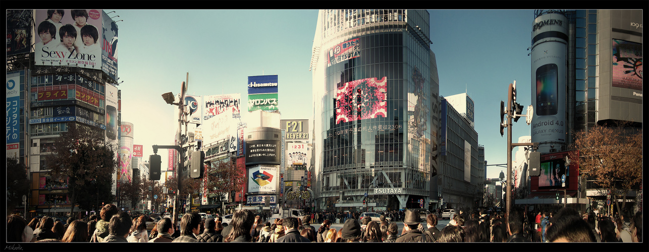 Shibuya Hachiko Crossing