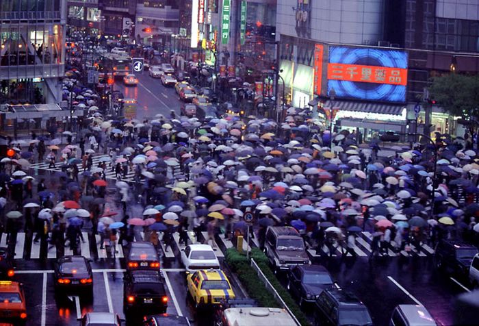 Shibuya im Regen