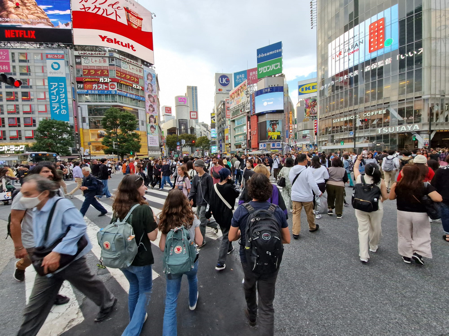 Shibuya Kreuzung