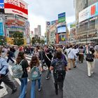 Shibuya Kreuzung