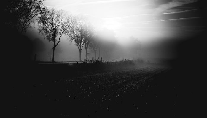 ...Shifting through the shadows 