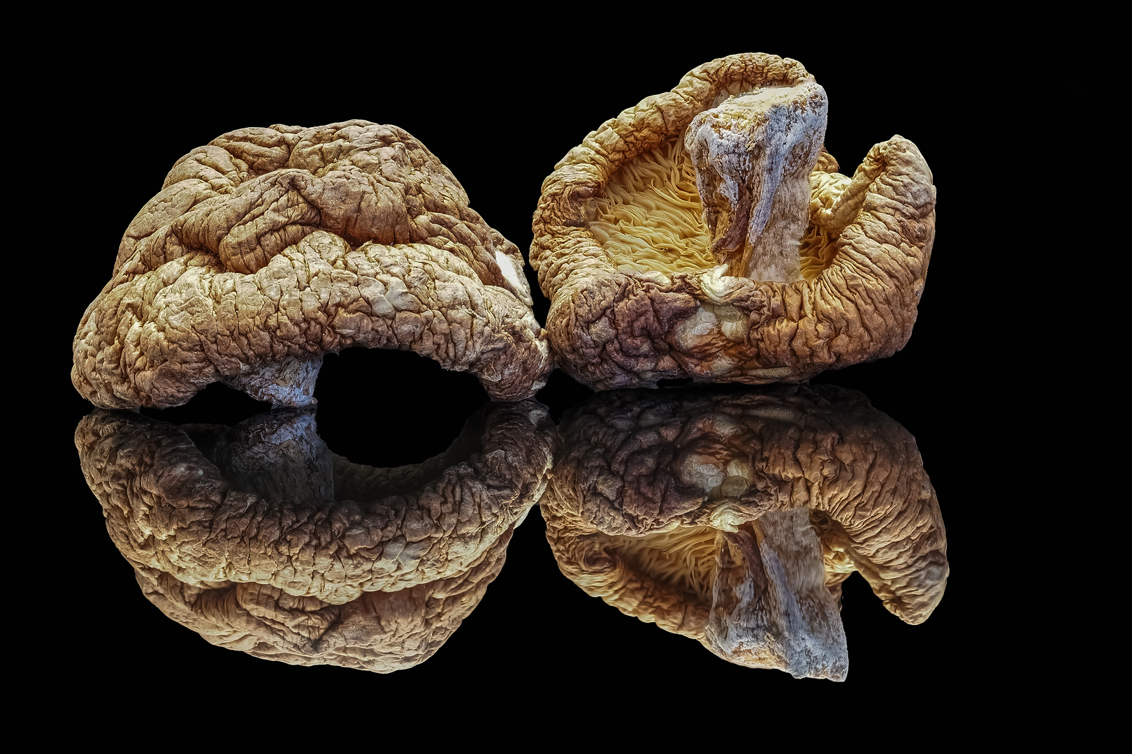 Shiitake Pilze auf einer Küchenwaage gespiegelt