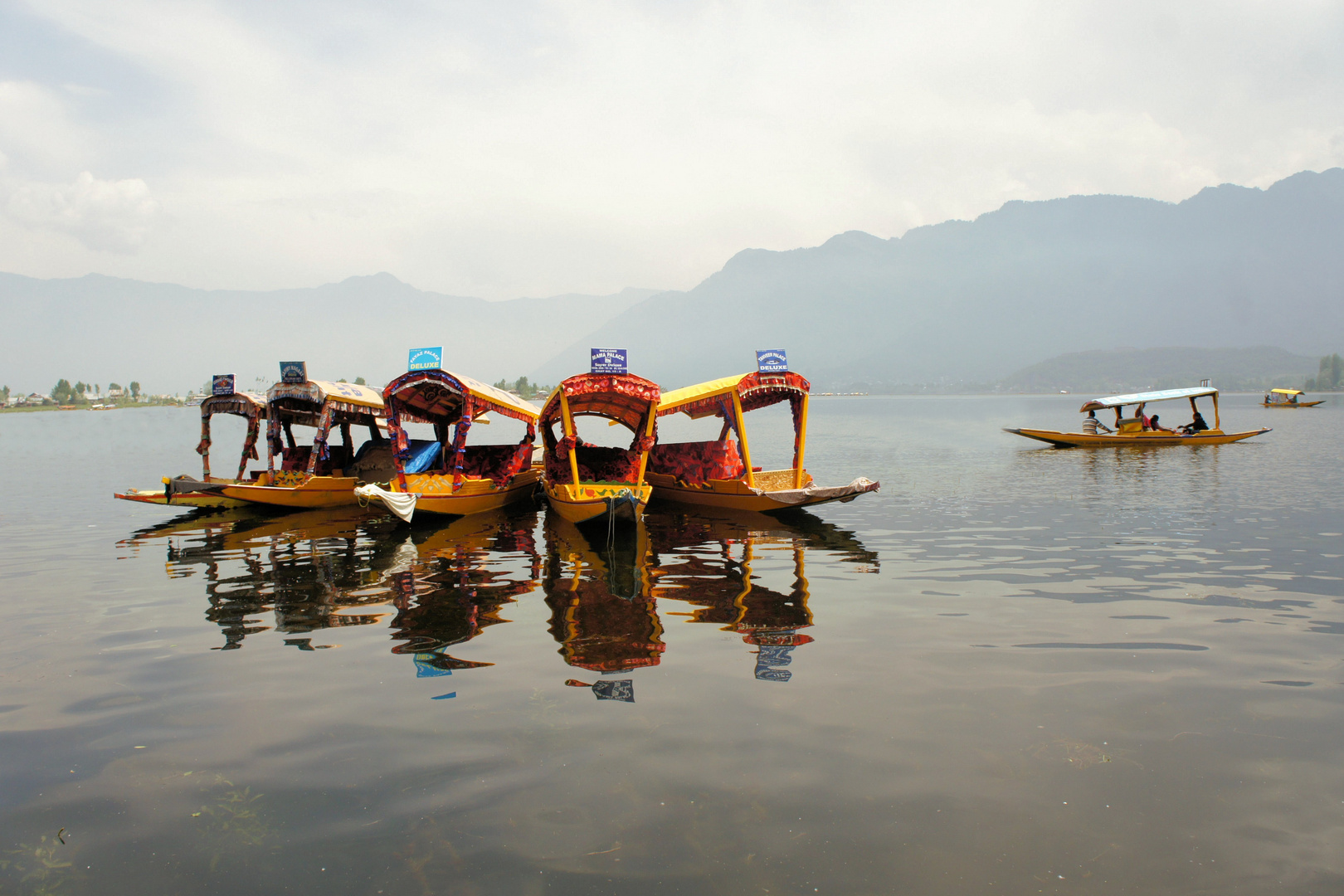 Shikara Boote im Dal See in Kaschmir