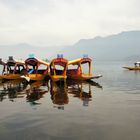 Shikara Boote im Dal See in Kaschmir