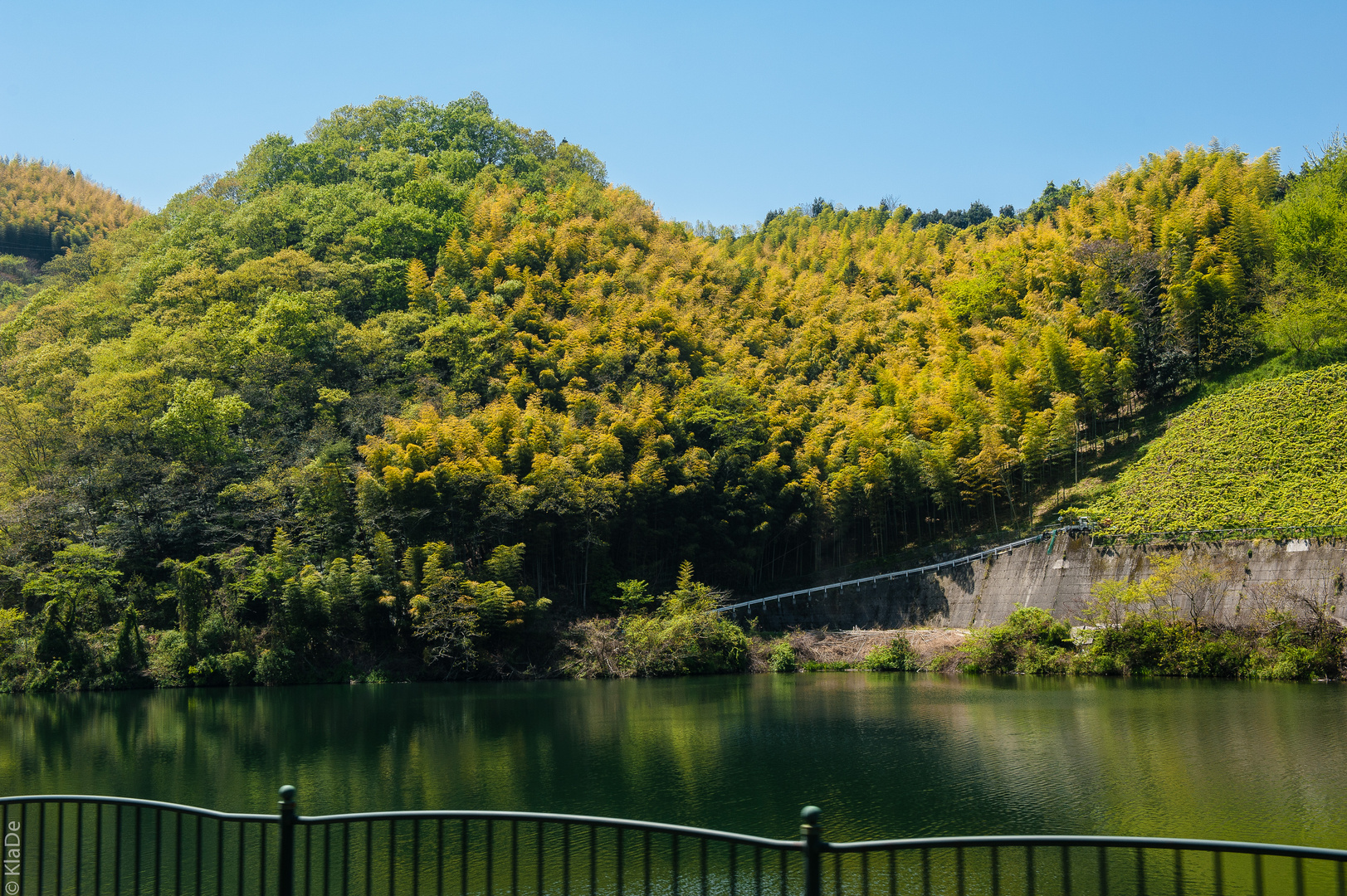 Shikoku - Es grünt so grün ...