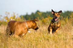 Shila`s Herbstfreuden