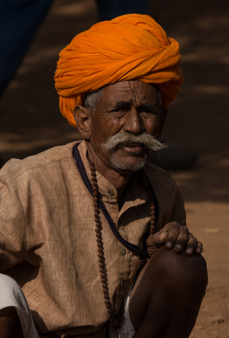 Shilpgram Festival; Jaipur