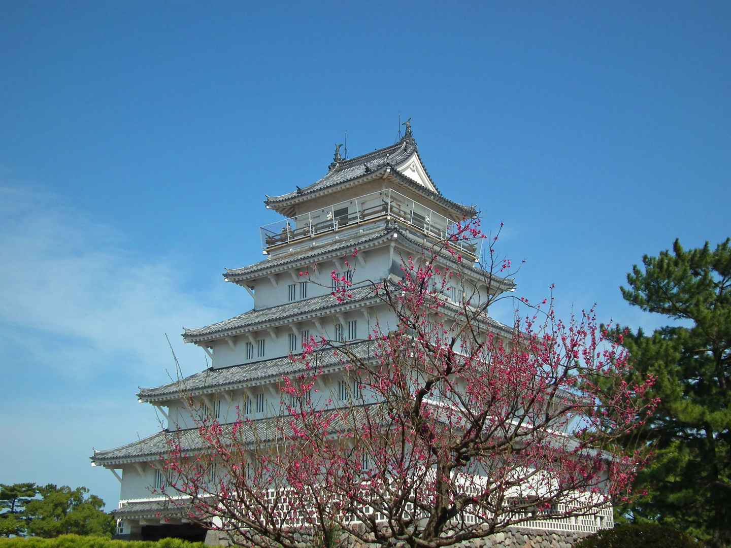 Shimabara Schloss und Pflaumenblüten