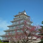 Shimabara Schloss und Pflaumenblüten