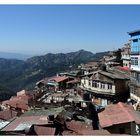 Shimla