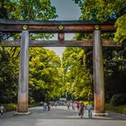 Shinji Shrine, Japan