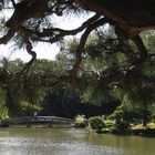 Shinjuku Gyoen