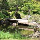 Shinjuku Gyoen