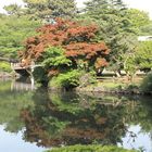 Shinjuku Gyoen II