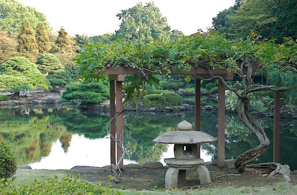 Shinjuku Park 4