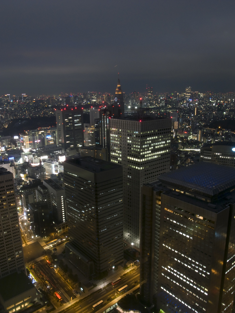 Shinjuku Style