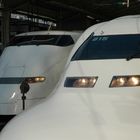 Shinkansen 300 series meets 700 series, Tokyo station