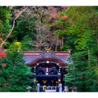 Shinto shrine surrounded by forest