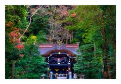 Shinto shrine surrounded by forest