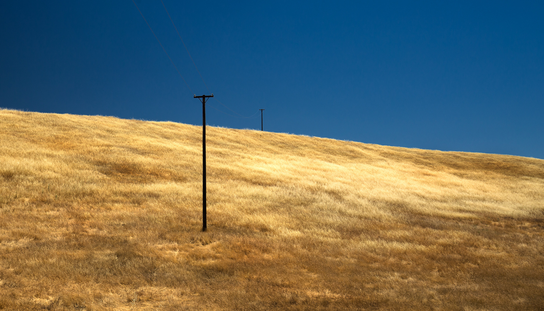 Shiny Fields