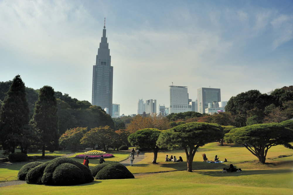 Shinyuku Garden