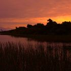 Ship Creek Walk (bei Haast)