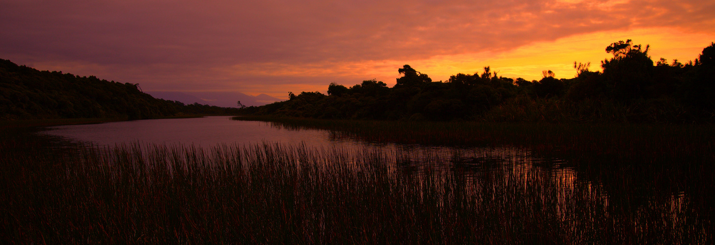 Ship Creek Walk (bei Haast)