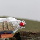 ship in a bottle II