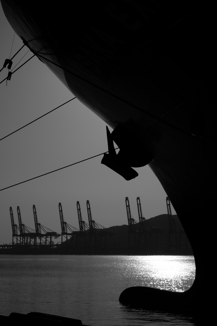 ship in the harbour