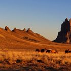 Shiprock Sunrise