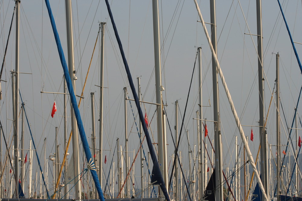 ships in harbour