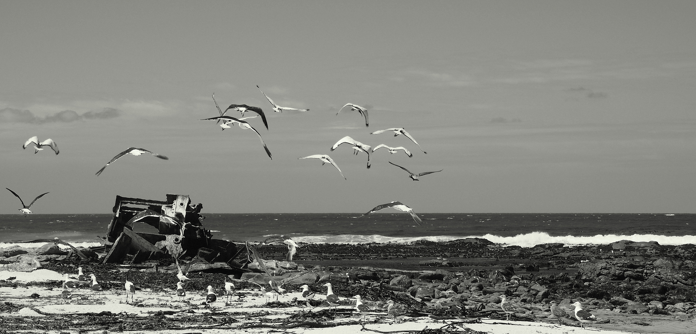 Shipwreck Coast