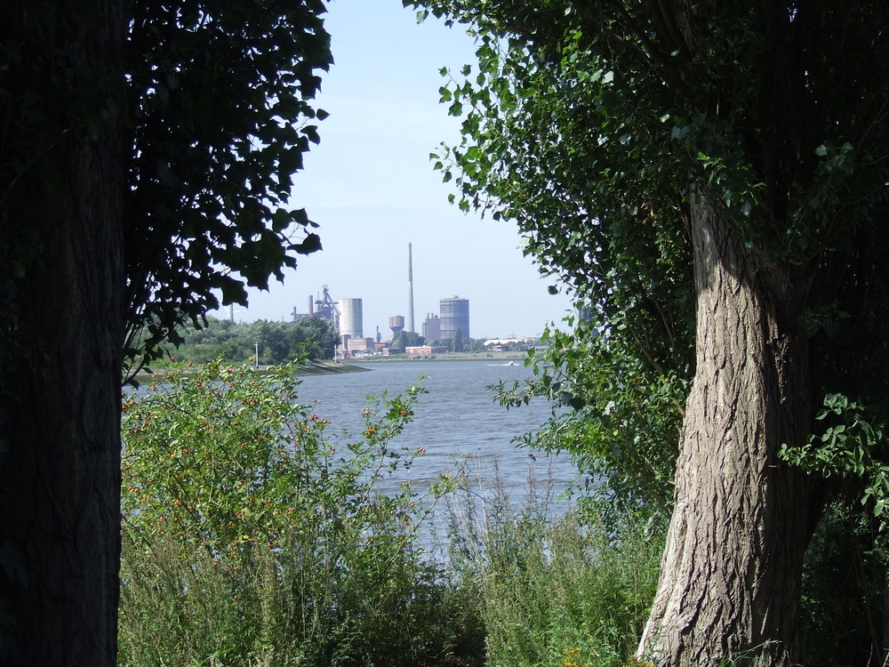 Shipyard Island an der Weser