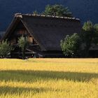 Shirakawago - vor der Reisernte