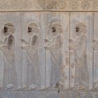 Shiraz - Persepolis III